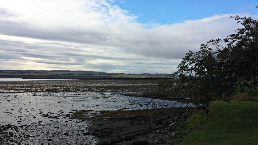 Overlooking Cromarty Firth