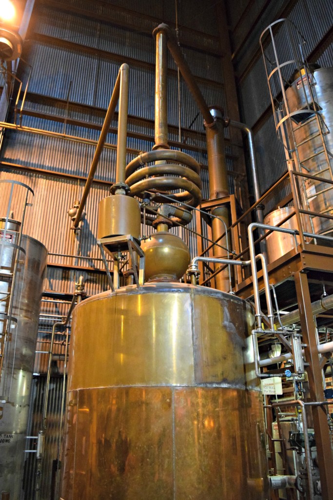 Mary, the passive still