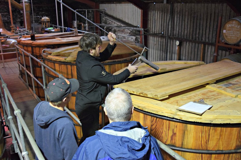 Testing the potency of the fermentation process in the washback